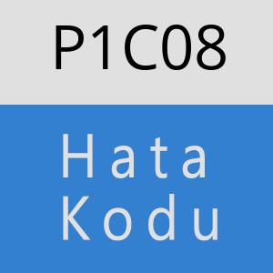 P1C08 hatasi