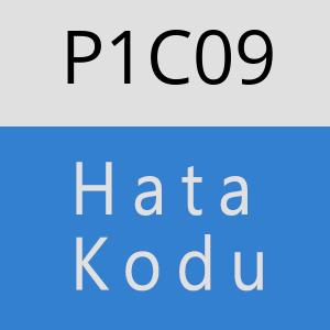 P1C09 hatasi