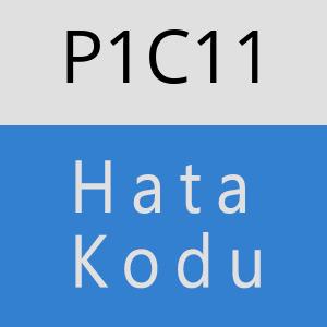 P1C11 hatasi