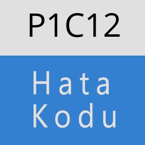 P1C12 hatasi