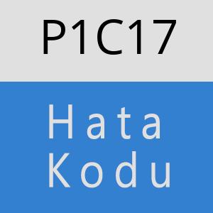 P1C17 hatasi