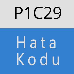 P1C29 hatasi