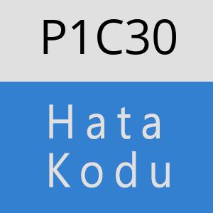 P1C30 hatasi