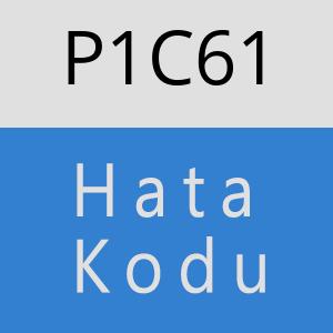 P1C61 hatasi