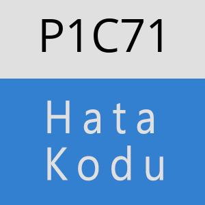 P1C71 hatasi