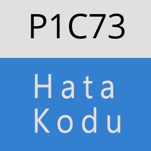 P1C73 hatasi