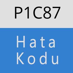 P1C87 hatasi