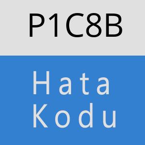 P1C8B hatasi