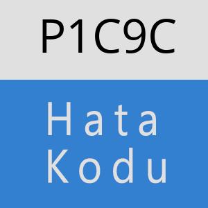 P1C9C hatasi