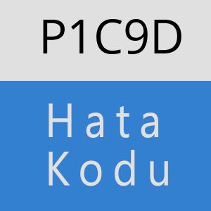 P1C9D hatasi