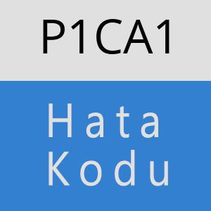 P1CA1 hatasi