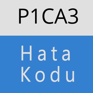 P1CA3 hatasi