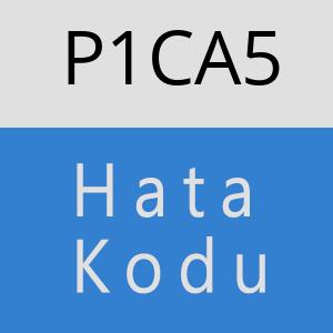 P1CA5 hatasi