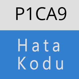 P1CA9 hatasi