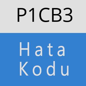 P1CB3 hatasi