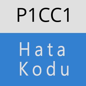 P1CC1 hatasi