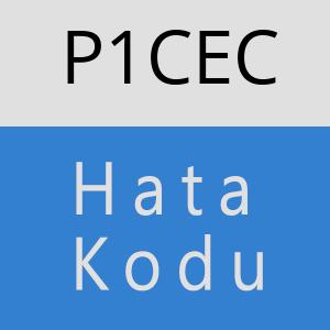 P1CEC hatasi