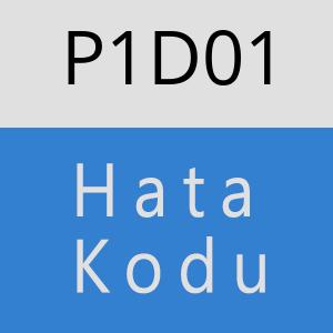 P1D01 hatasi