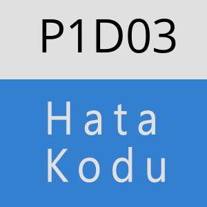 P1D03 hatasi