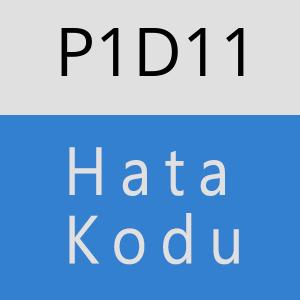 P1D11 hatasi