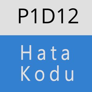 P1D12 hatasi