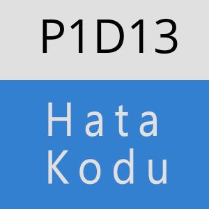 P1D13 hatasi