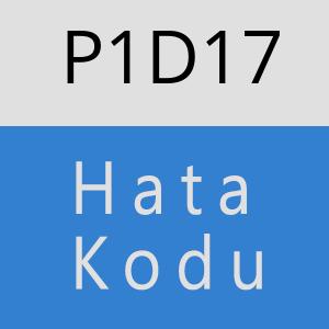 P1D17 hatasi