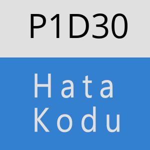 P1D30 hatasi