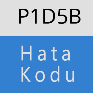 P1D5B hatasi