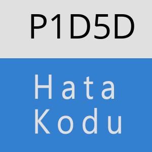 P1D5D hatasi