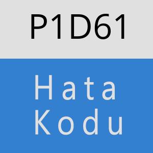 P1D61 hatasi