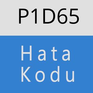 P1D65 hatasi