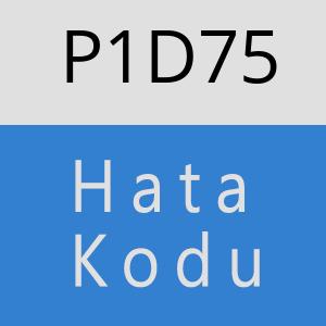 P1D75 hatasi