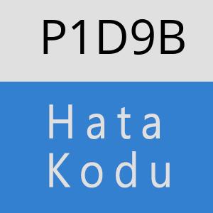 P1D9B hatasi