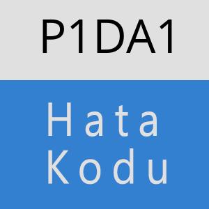 P1DA1 hatasi