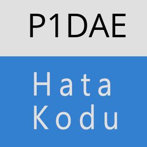 P1DAE hatasi