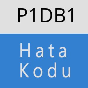 P1DB1 hatasi