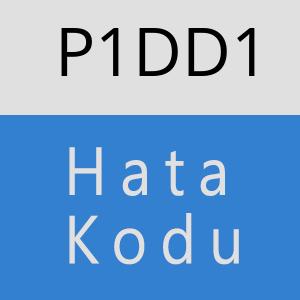 P1DD1 hatasi