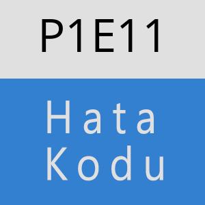 P1E11 hatasi