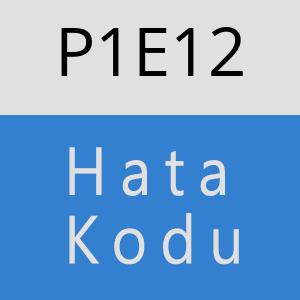 P1E12 hatasi