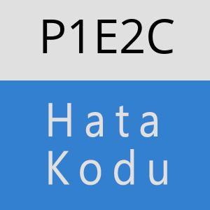 P1E2C hatasi