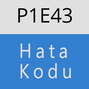 P1E43 hatasi