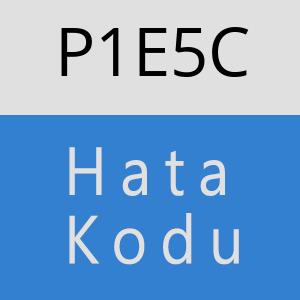 P1E5C hatasi