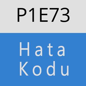 P1E73 hatasi