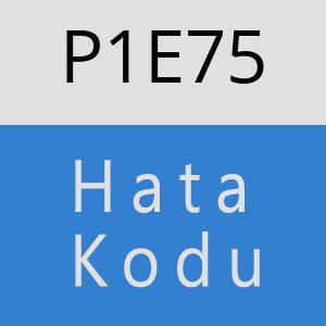 P1E75 hatasi