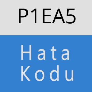 P1EA5 hatasi