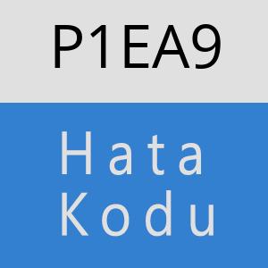 P1EA9 hatasi