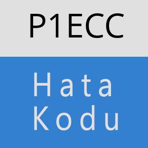 P1ECC hatasi