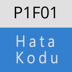 P1F01 hatasi