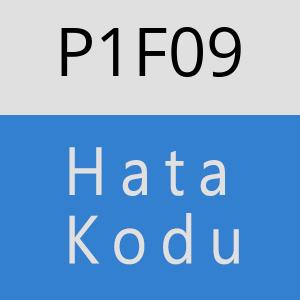 P1F09 hatasi